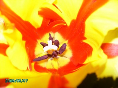 PICT0089.JPG