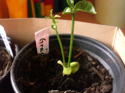 Bild 429.jpg