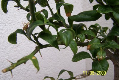100_6319.JPG