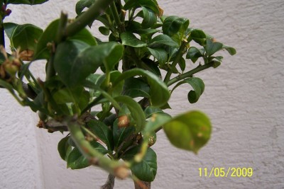 100_6320.JPG