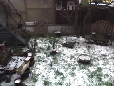 16-04-08_Hagel im Garten.jpg