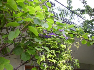 DSCI0469.JPG