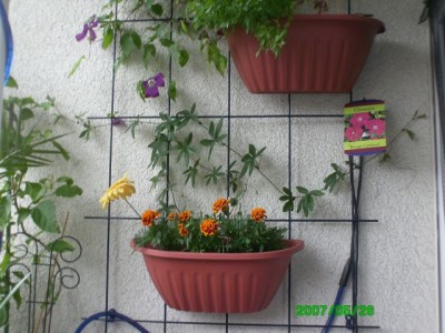 Balkon 05.2007 030.jpg