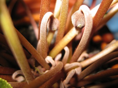 Bild 142_1024x768.jpg