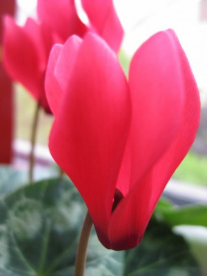 Bild 136_1024x768.jpg