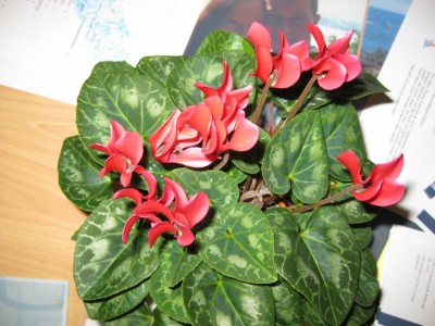 Bild 141_1024x768.jpg