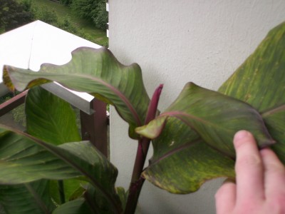 PICT0024.JPG