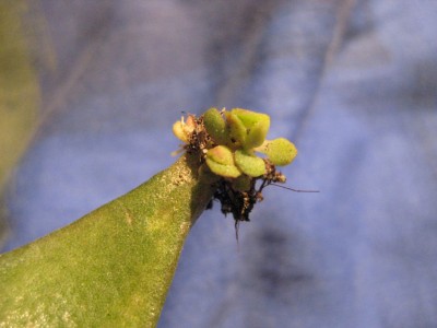 Bild 144_1024x768.jpg