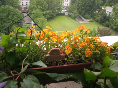 PICT0028.JPG