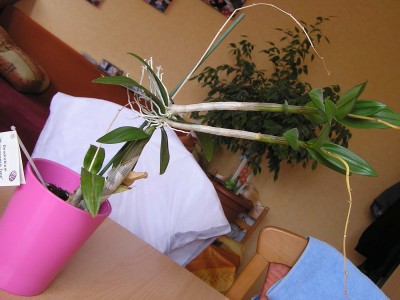 P1010001.JPG