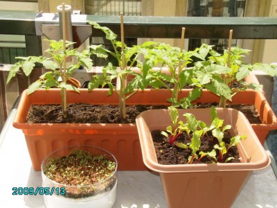 PICT0138.JPG