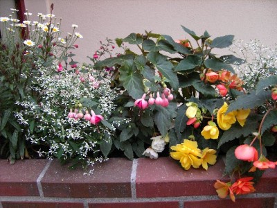 PICT0719_640x480.JPG