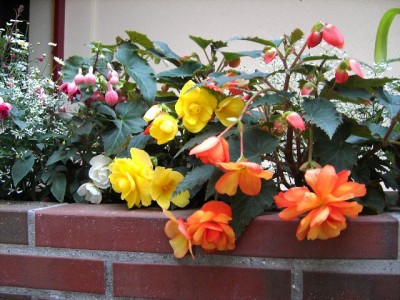 PICT0717_640x480.JPG