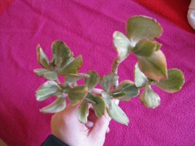 Bild 003_600_450.jpg