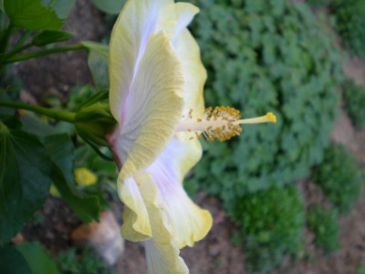 DSCN13530001.JPG