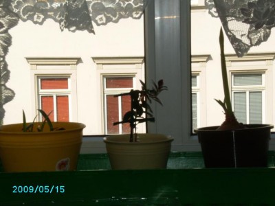 PICT0162.JPG