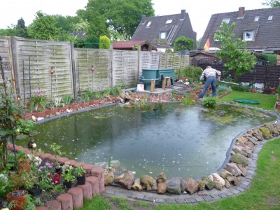 P1020807(1).JPG