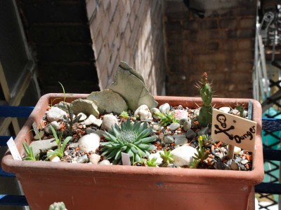 dsc_5026_1.jpg