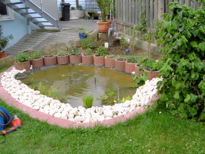 PICT2825.JPG