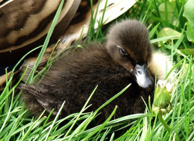 das kommt dabei raus2.jpg