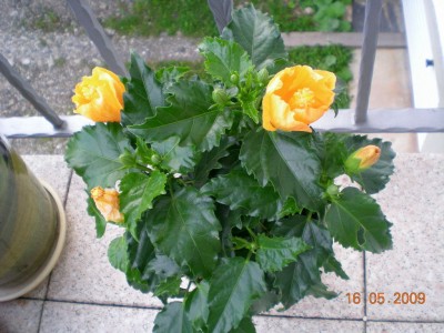 DSCN42650001.JPG