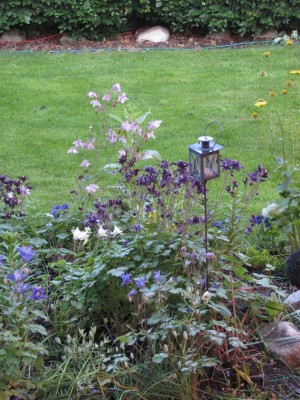 Bild 174_1024x768.jpg