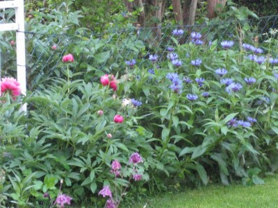 Bild 173_1024x768.jpg