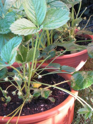 Bild 172_1024x768.jpg