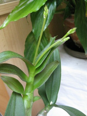 Bild 177_1024x768.jpg