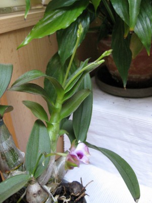 Bild 178_1024x768.jpg