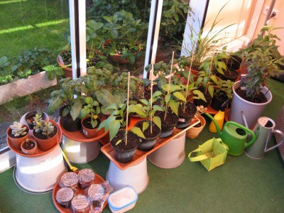 Bild 150_1024x768.jpg