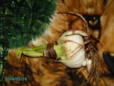 PICT0151.JPG