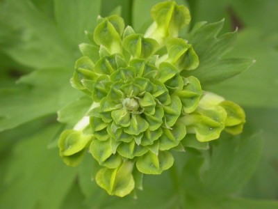 Rätsel größer.JPG