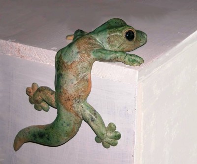 Mein-Gecko.JPG