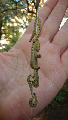 20.05.09 abseiltaktik.jpg