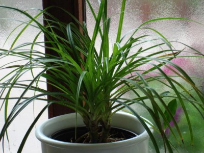 Bild003.jpg
