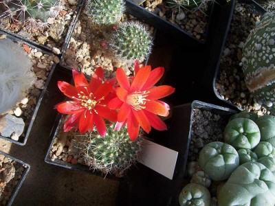 100_4726.JPG