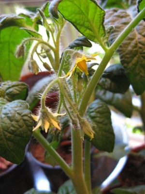 Bild 186_600x800.jpg