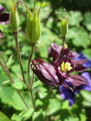 Bild 183_600x800.jpg