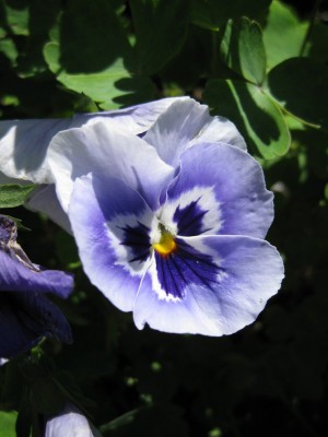 Bild 182_600x800.jpg