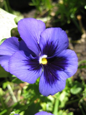 Bild 181_600x800.jpg