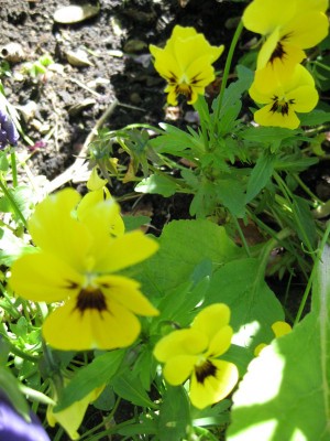 Bild 180_600x800.jpg