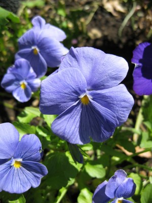 Bild 179_600x800.jpg