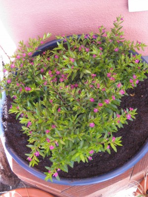 Bild 205_1067x800.jpg