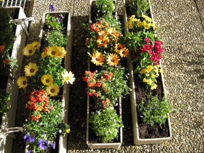 Bild 203_1067x800.jpg