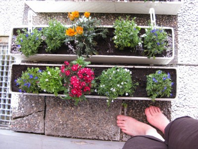 Bild 202_1067x800.jpg