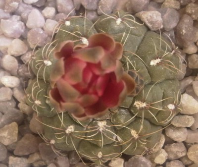 Foto 14.jpg