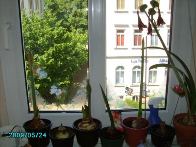 PICT0150.JPG