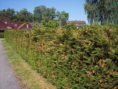 100_1738.jpg