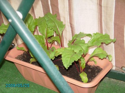 PICT0160.JPG